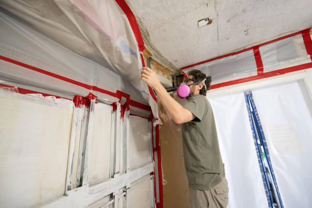 Best HVAC Mold Inspection and Cleaning  in Laguna Vista, TX